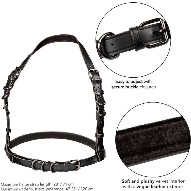 CALEXOTICS – EUPHORIA ARNÊS HALTER COM FIVELA TAMANHO PLUS PRETO