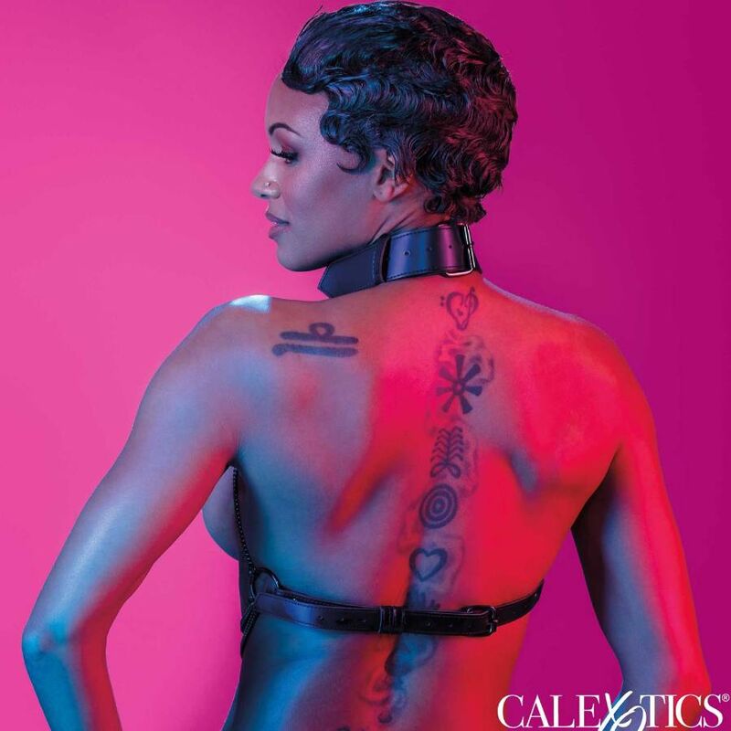 CALEXOTICS – EUPHORIA ARNÊS DE COLAR COM MÚLTIPLAS CORRENTES