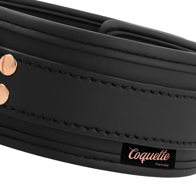 Coquette Chic Desire - Colar De Couro Fantasy Vegan Com Ala E Forro De Neoprene