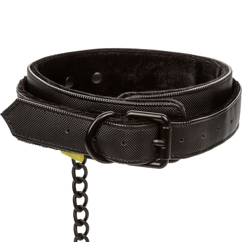 CALEXOTICS - BOUNDLESS COLAR COM TRELA