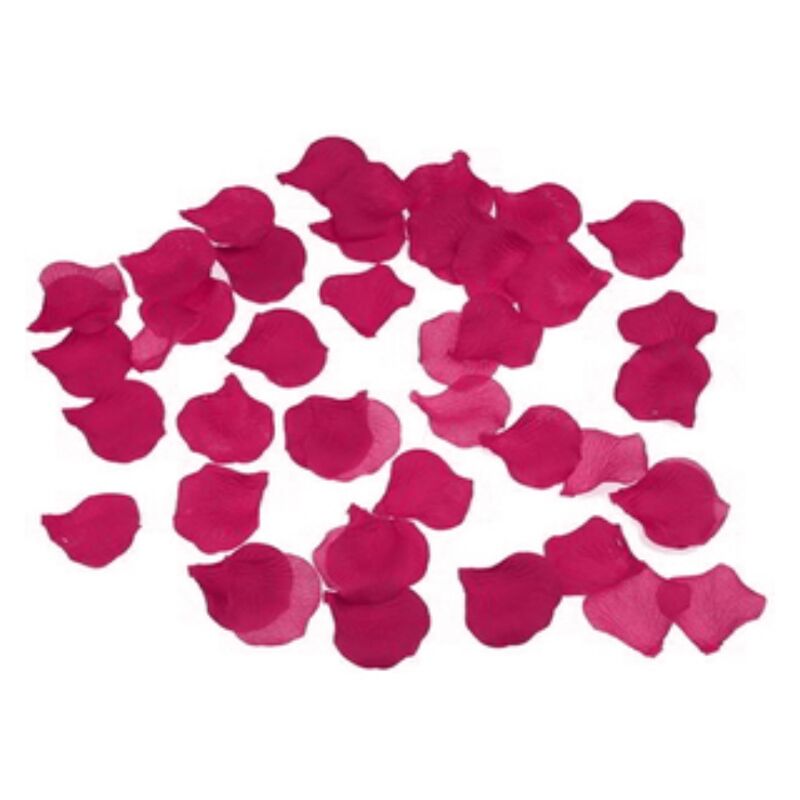 DIABLO PICANTE - 100 PÉTALAS FUCSIA