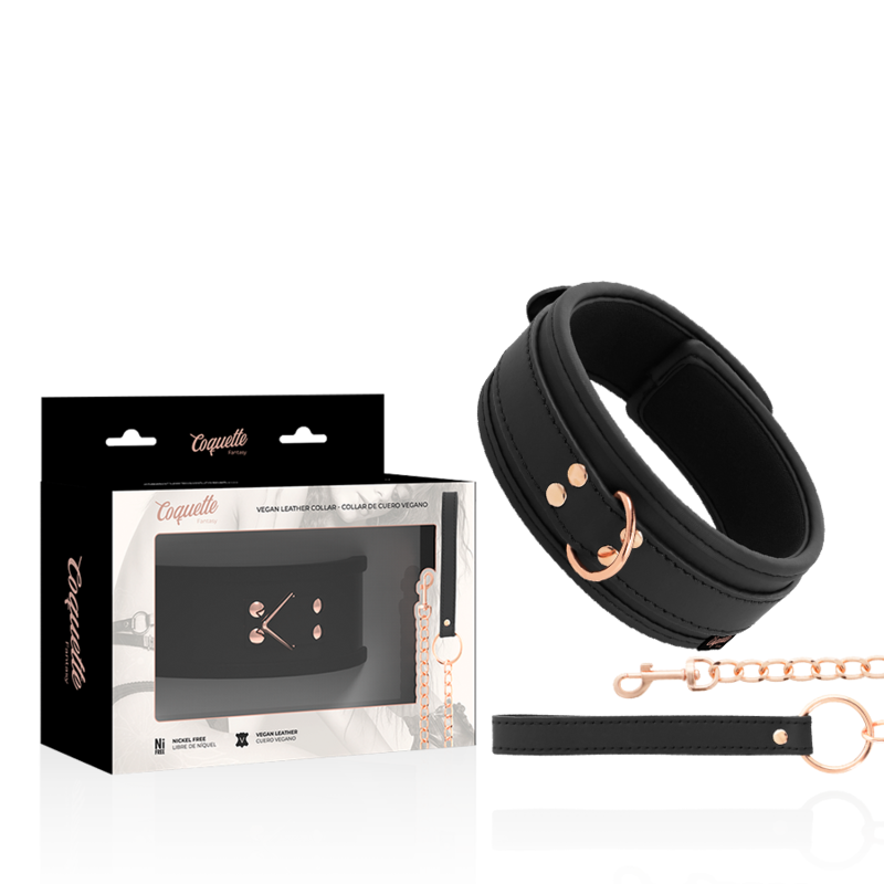 Coquette Chic Desire - Colar De Couro Fantasy Vegan Com Ala E Forro De Neoprene