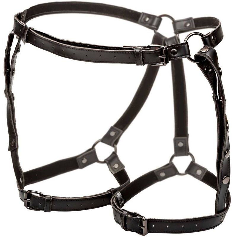 CALEXOTICS – EUPHORIA ARNÊS DE COXA TIPO EQUITAÇÃO
