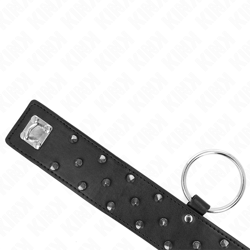 KINK - COLAR COM TRELA 65 CM COM TACHAS PRATEADAS MODELO 5 AJUSTÁVEL 36-43 CM X 5 CM