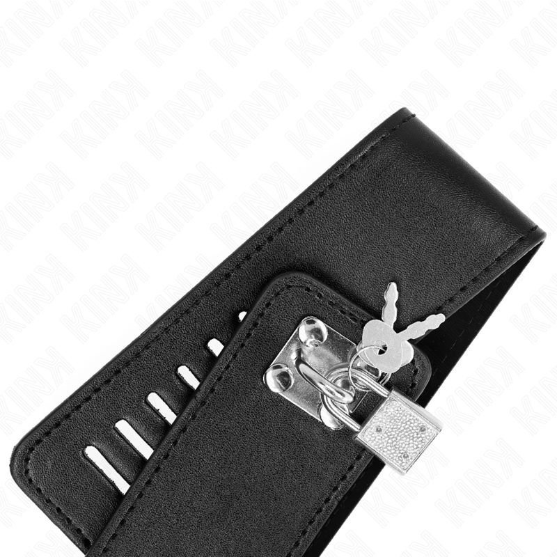 KINK - COLAR COM TRELA 116 CM MODELO 2 AJUSTÁVEL 36-43 CM X 5 CM