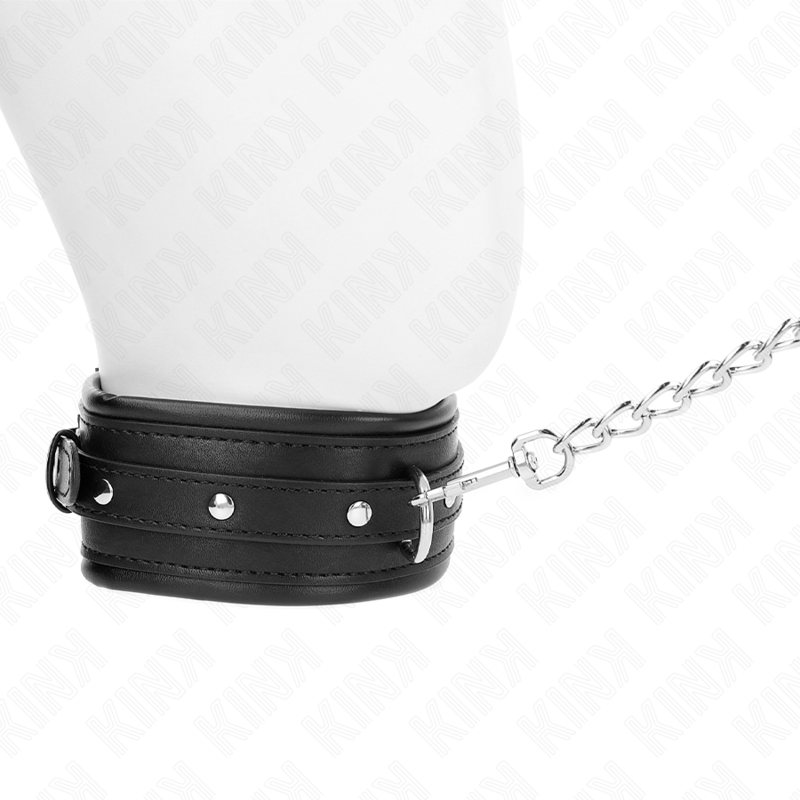 KINK - COLAR COM TRELA 65 CM COM FIVELA BRILHANTE 48.5 CM X 5.3 CM