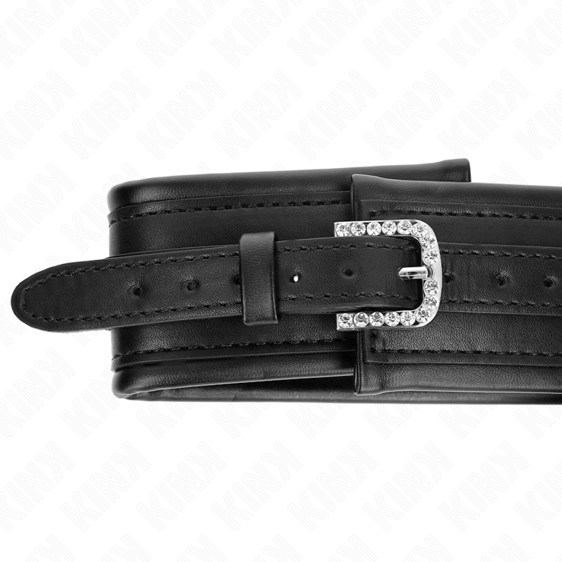 KINK - COLAR COM TRELA 65 CM COM FIVELA BRILHANTE 48.5 CM X 5.3 CM