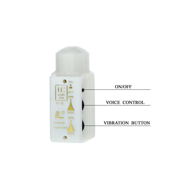 DANCE - MR. BIG MASTURBATOR REALISTIC PENIS AND ANUS