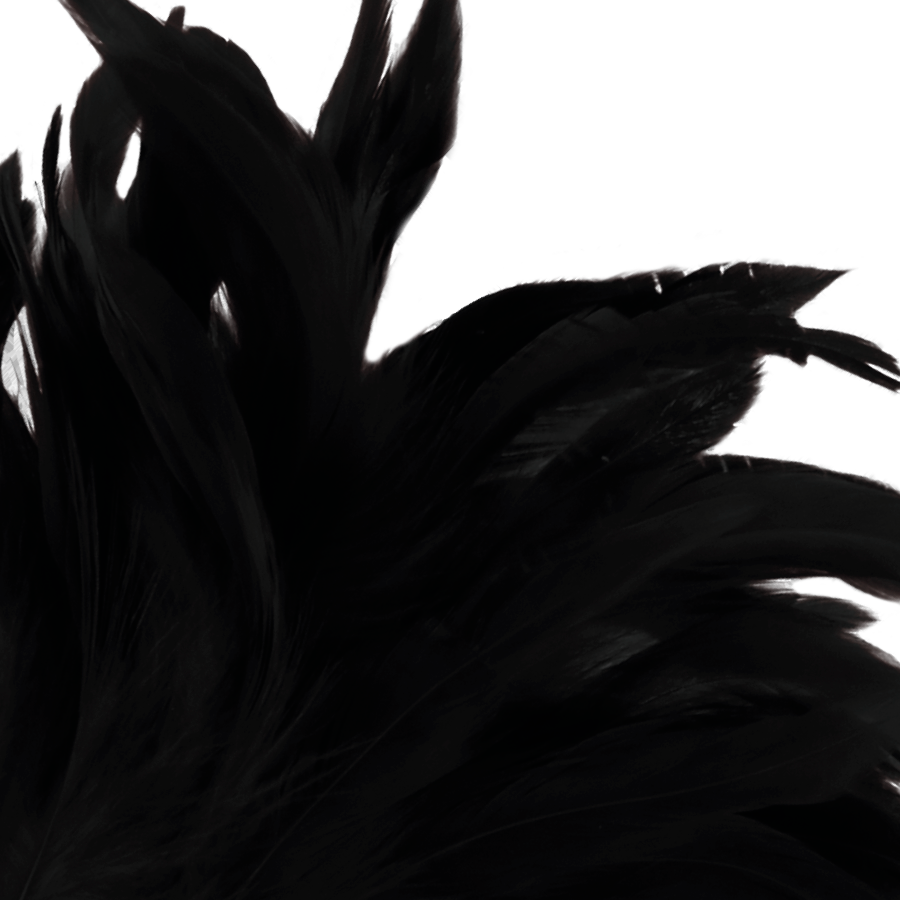DARKNESS - PLUMA ESTIMULADORA PRETA LUX