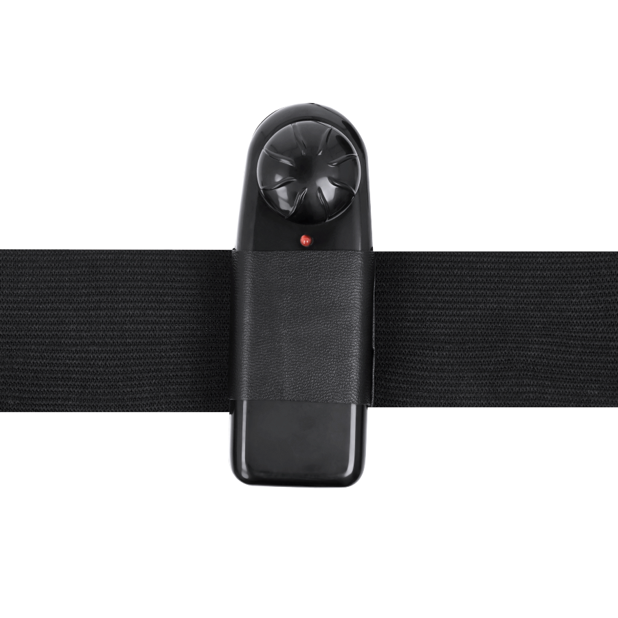 Harness Attraction - Gregory Hollow Rnes Com Vibrador 16.5 Cm -O- 4.3 Cm