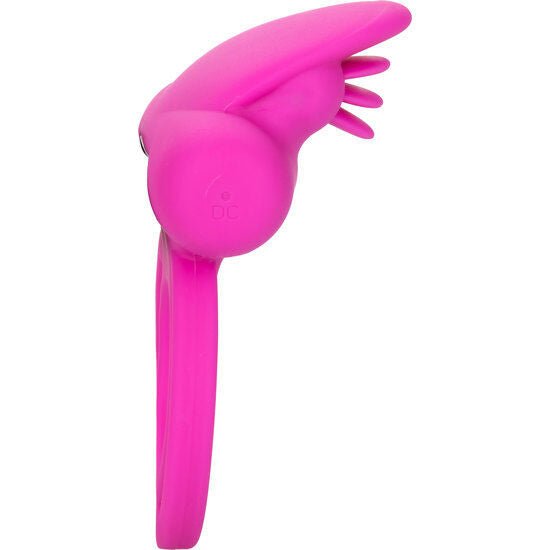 CALEXOTICS - DUAL CLIT FLICKER ENHANCER ANEL DUPLO VIBRADOR EM SILICONE ROSA